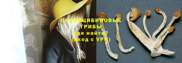ешки Алзамай