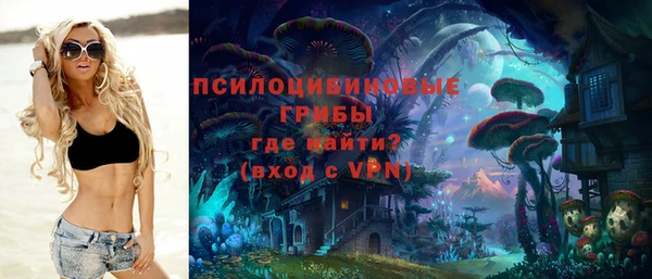 спайс Алексин