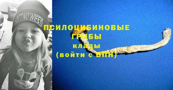 ешки Алзамай