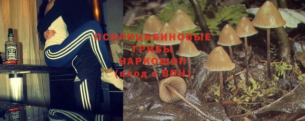 спайс Алексин
